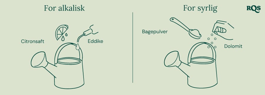 Hvordan justerer du jordens pH Guide til at justere jordens pH: citron og eddike til at hæve pH ('For alkalisk'), natron og dolomit til at sænke pH ('For sur').