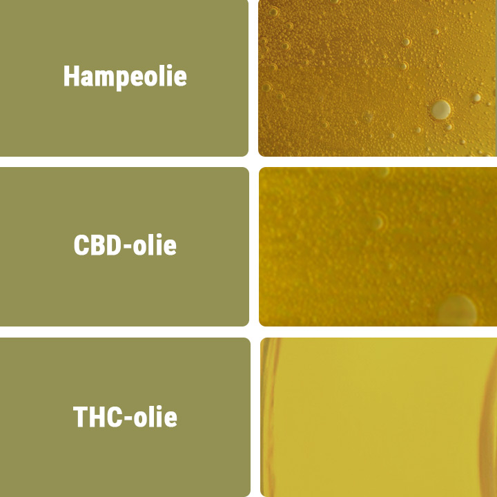 CBD-olier vs. andre olietyper CBD-olier vs. andre olietyper